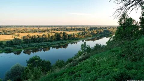 Брянская область сельские поселения