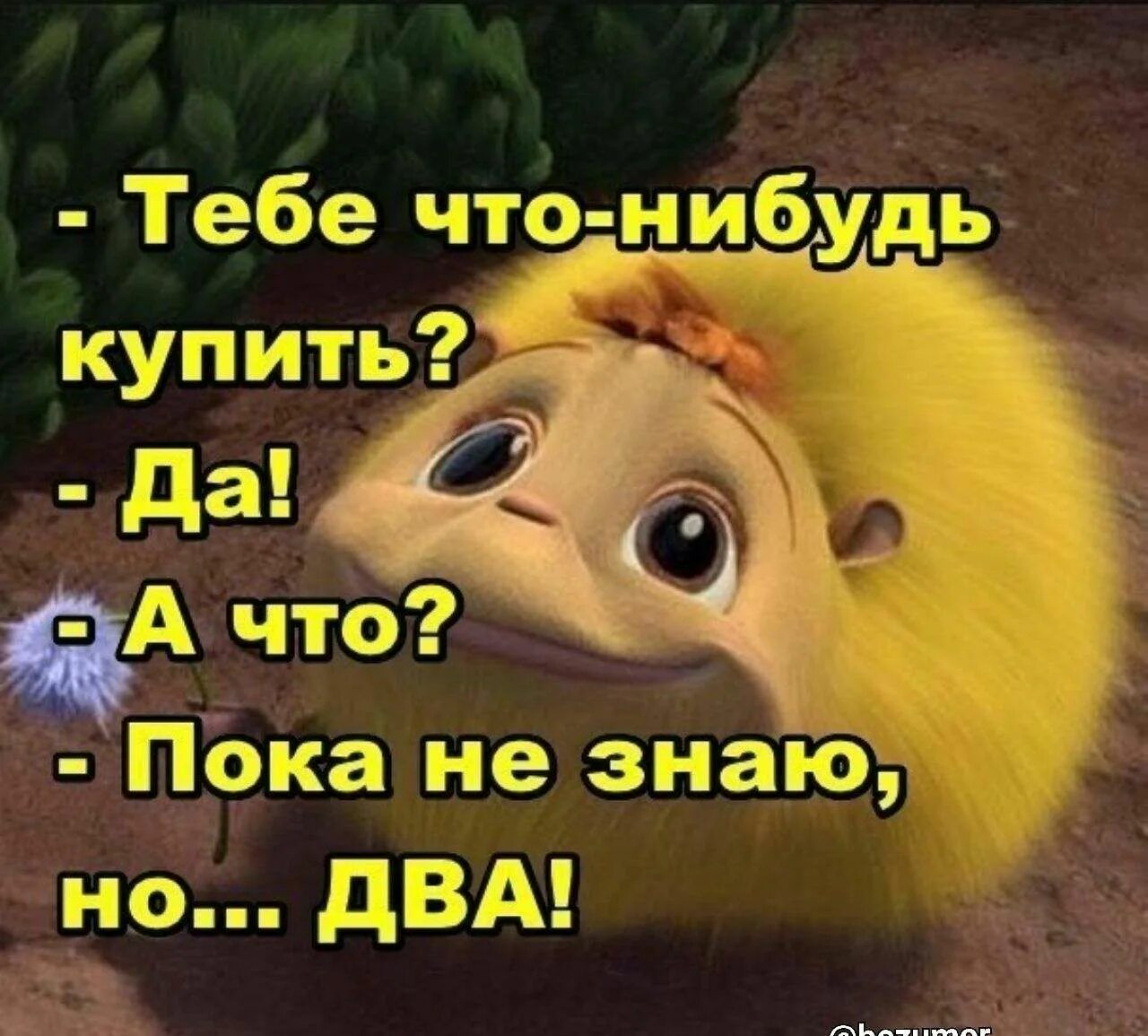 Есть был когда нибудь 1 год. Тебе что-нибудь купить? не знаю,но два. пока не знаю но два. тебе что купить не знаю но два. тебе что-нибудь купить пока не знаю но два.