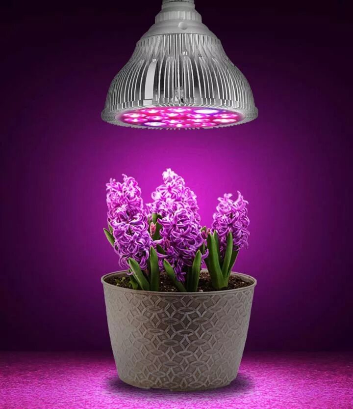Светильник для фитолампы. Фитолампа "Весна - 50 w". Фитолампа grow Light 40 Вт. Экола фитолампа для растений. Фитолампа для орхидей.