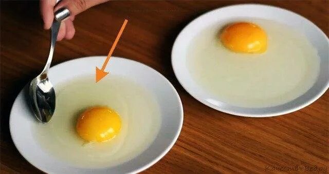 Rotten Eggs Stock Photos, Pictures & Royalty-Free Images - iStock