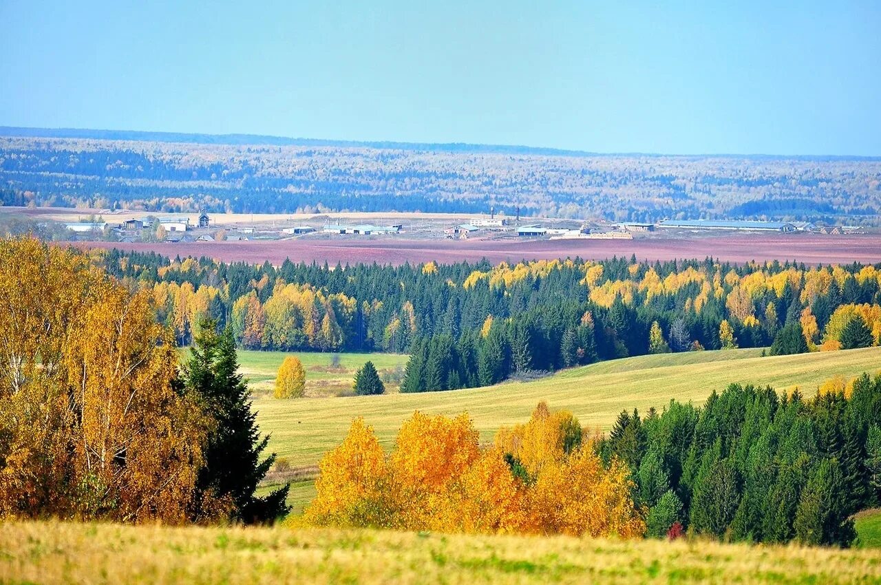 Растительность леса удмуртии. Животные удмуртии презентация. Родной край удмуртия. Растительный и животный мир удмуртии. Растения удмуртского края.