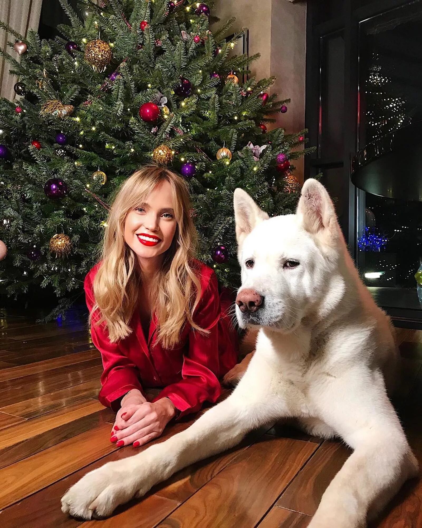 Домашнее звезд. Особняк кэмерон диаз в беверли. Квартира эмми россум. Особняк бритни спирс. Дом филиппа киркорова на рублевке.