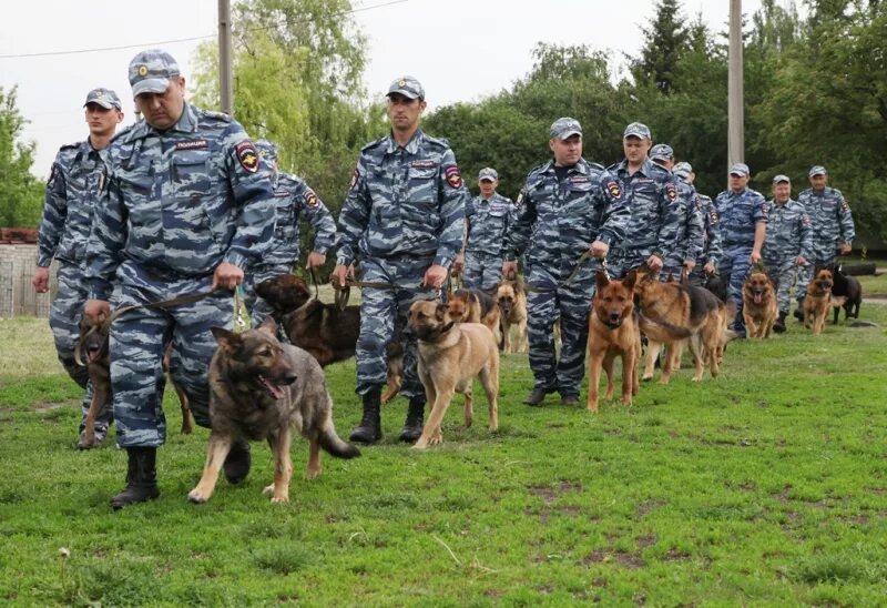 Кинологическая служба россии. Центр кинологической службы. Кинолог МВД. Эксперт кинолог. Кинологическая служба МВД.