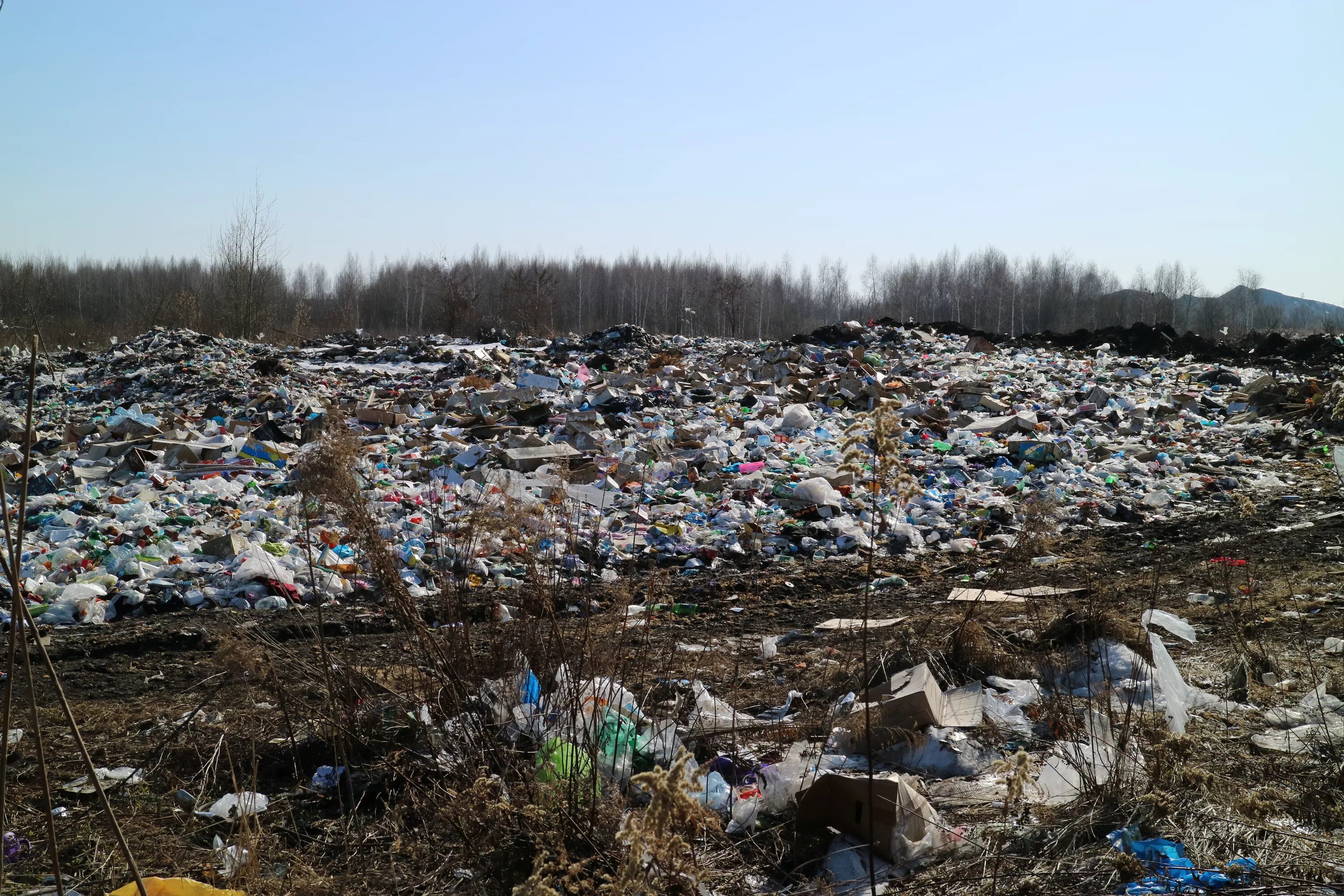 Загрязнение почвы в Нижнем Новгороде. Свалки Республики Тыва. Свалка. Открытая мусорка