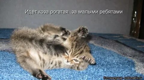 Идет за малыми ребятами