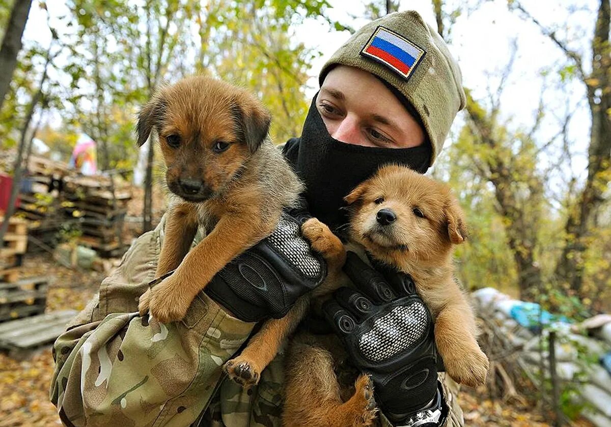 Спасение бездомных животных. Российские военные с щенками. животные на войне в донбассе. солдат с щенком. спасение животных на донбассе.