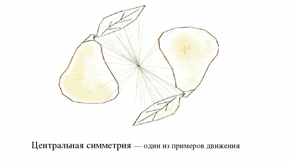 Пример центральной симметрии рисунок. Центральная симметрия рисунки. осевая и центральная симметрия. рисунок центральнойсиметрии. примеры осевой и центральной симметрии.