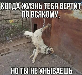 Очень всякая жизнь