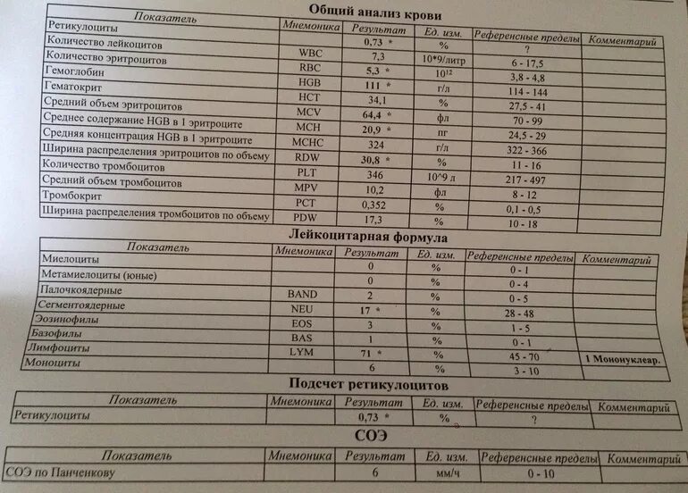 Анализ крови результат сразу