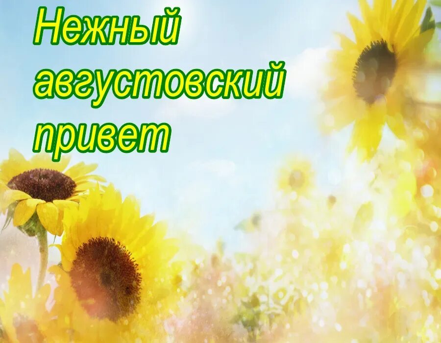 Открытки августовский приветик. Картинки августовский приветик. Привет август. Открытки с августовским приветом. Красивые поздравления с августом.