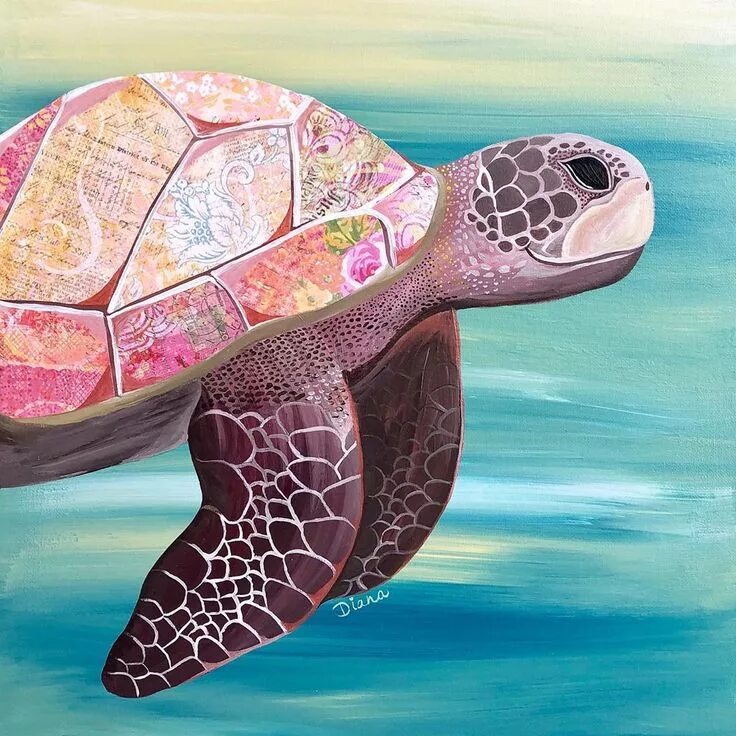 Crazy turtle
