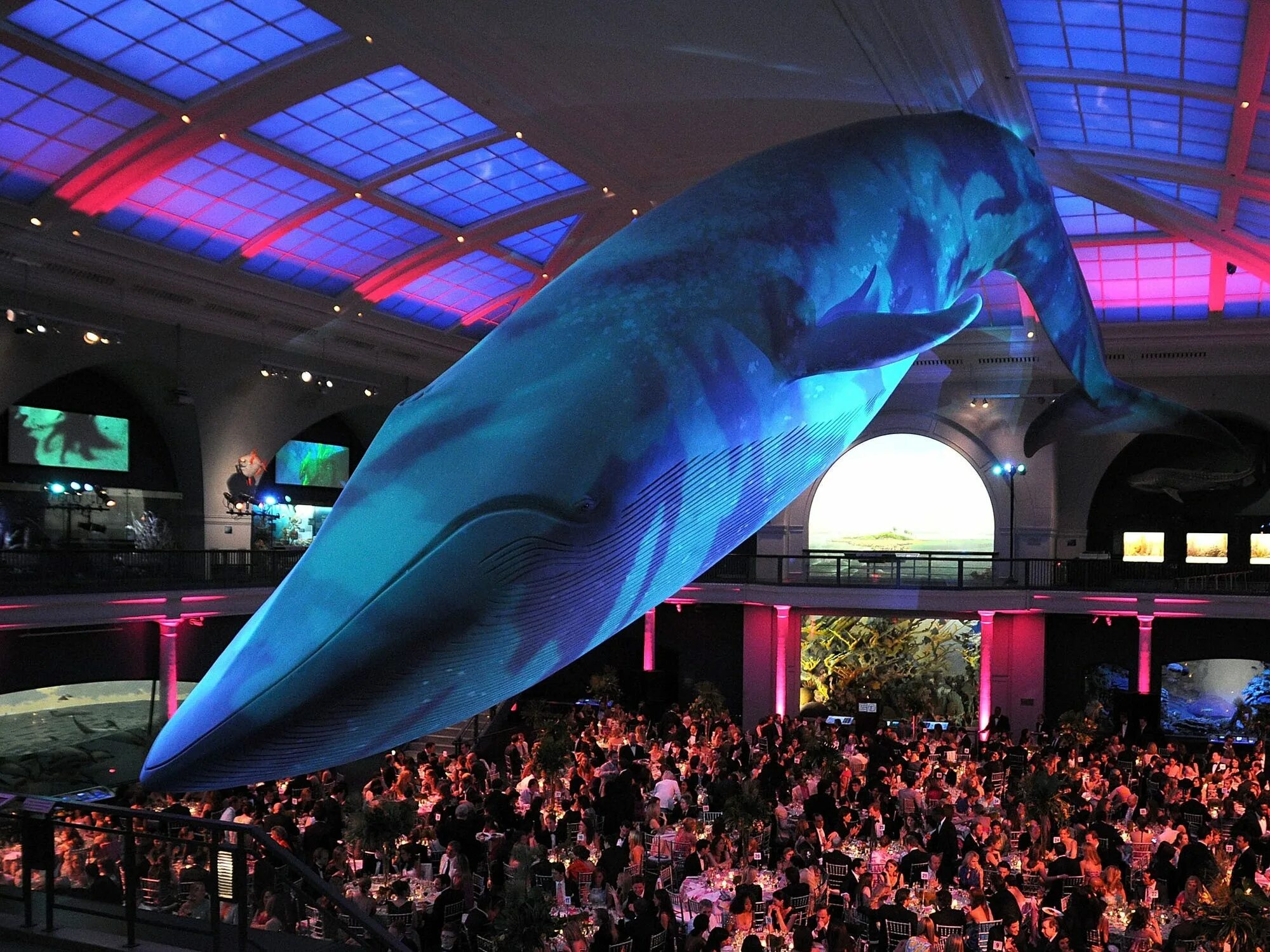 Музей естествознания в нью-йорке. Нью-йорк, сша. Музей american museum of natural history. Нью-йорк музей музей естественной истории. Музей естествознания в нью-йорке.