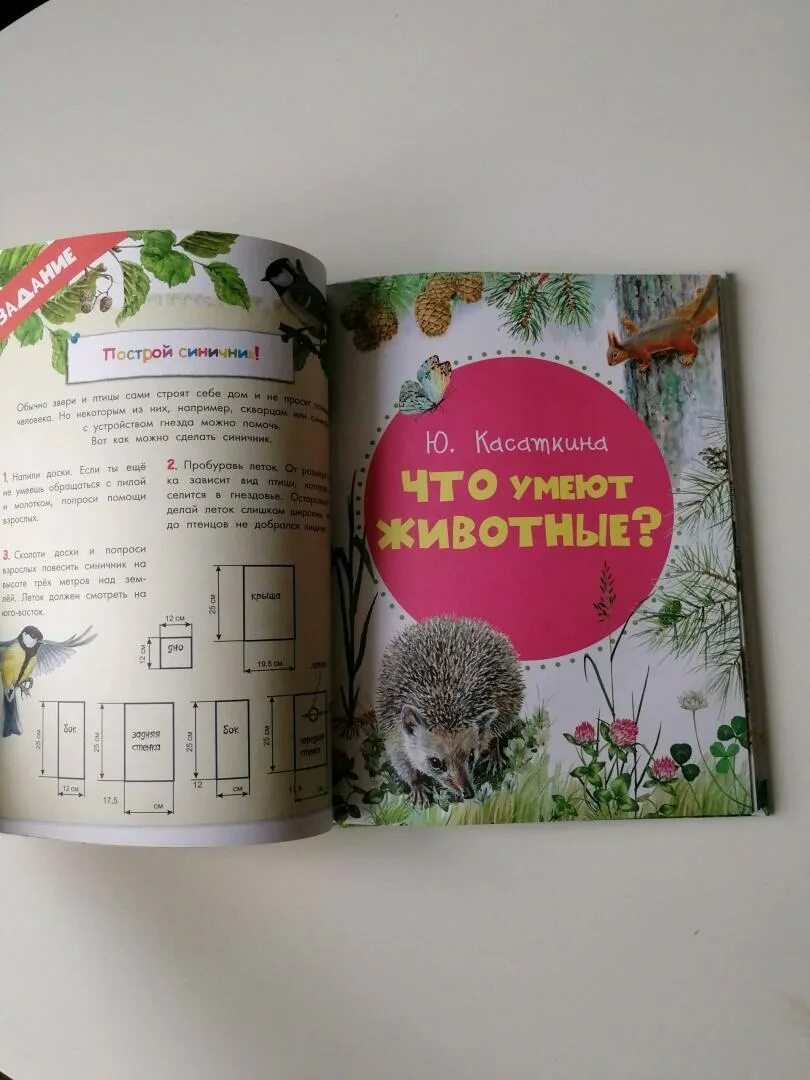Мои животные читать. Мои животные читать