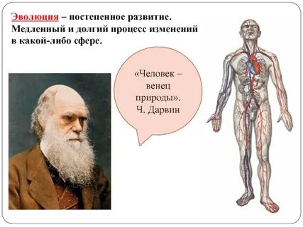 Развитие постепенно