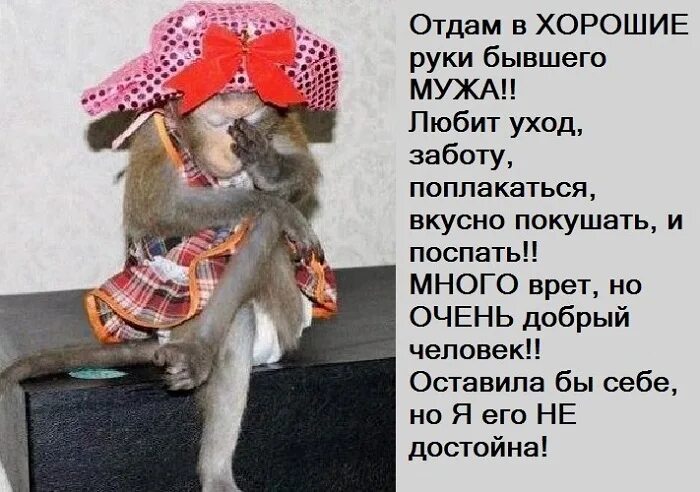 поздравление с разводом подруге прикольное. отдам даром картинка для группы. отдам был хороший человек. отдам был хороший человек. никогда не жалуйтесь на родителей которые.