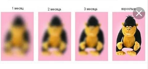 Зрение в 5 месяцев