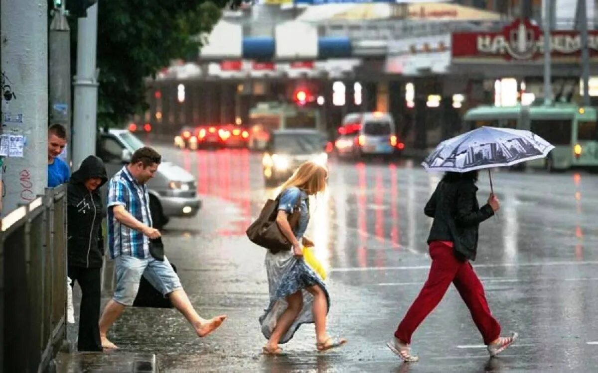 запах дождя эстетика. сильный ветер. неприятный дождь. ливень на улице. сильные ливни волгоград.