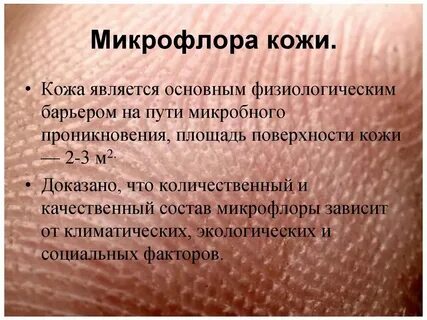 Состояние нормальных кожных покровов