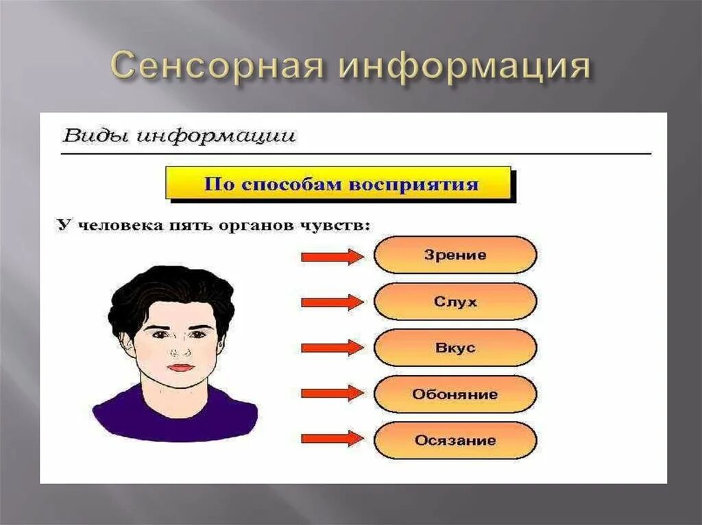 Восприятие сенсорной информации. Сенсорная информация это. Сенсорная информация это в психологии. Тактильный вид информации. Сенсорная информация это простыми словами.