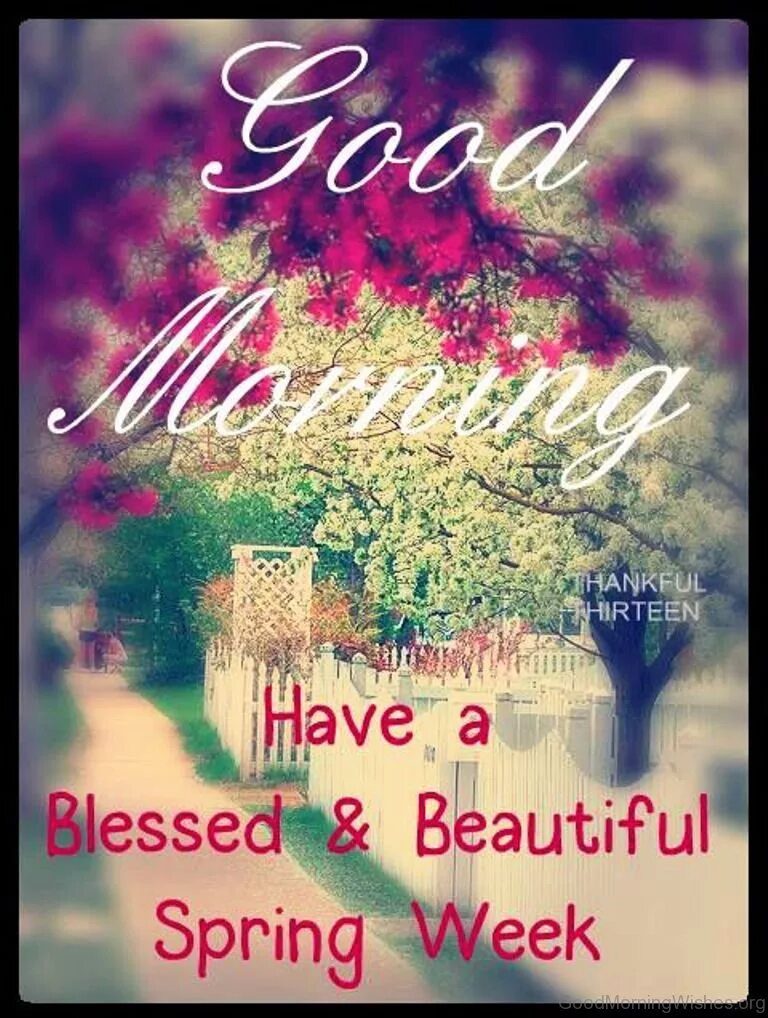 Last spring my best. Our last spring. Last day of spring. Постеры hello spring. Last spring my best.