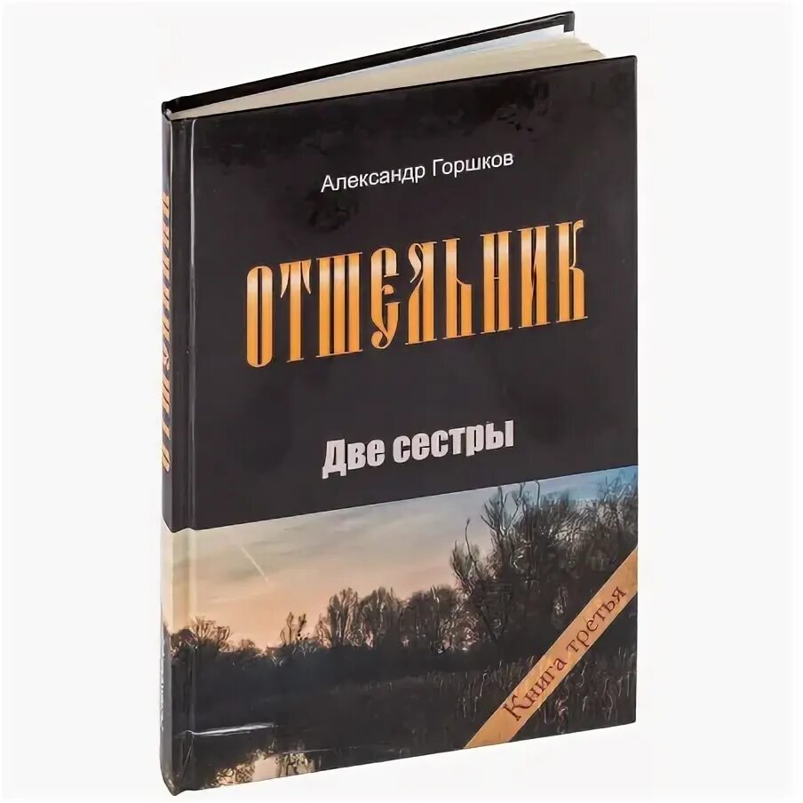 Отшельник книга. Православное отшельничество книга. Книга отшельник горшков.