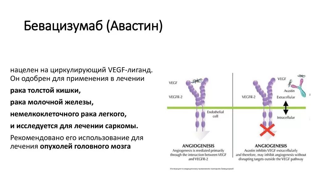 Бевацизумаб по 400. Бевацизумаб инструкция по применению при онкологии. Бевацизумаб инструкция по применению при онкологии. Препарат авегра биокад. Биокад бевацизумаб 400.