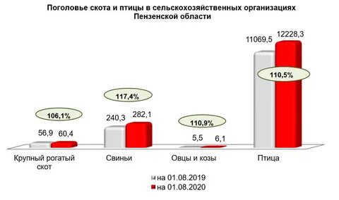 Статистика пенза