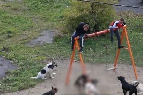 Нападают на маленький