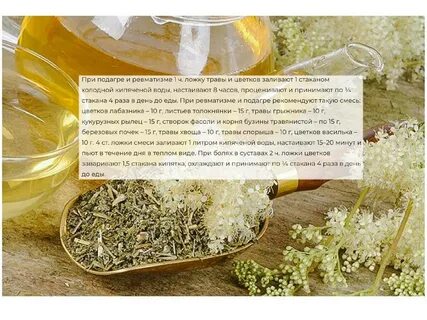 Трава таволга для чего применяется инструкция