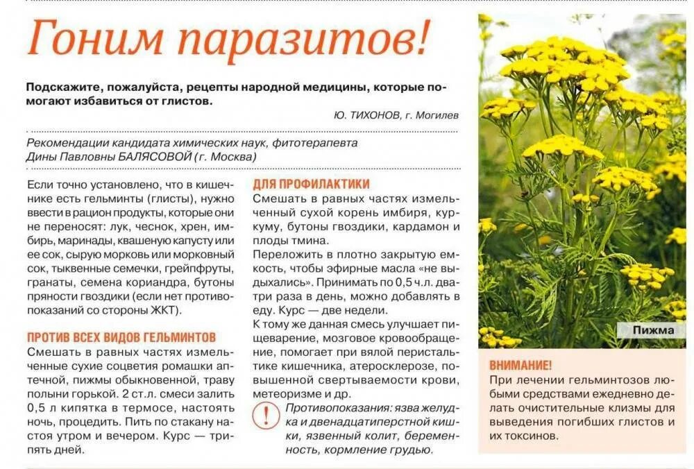 Переложенные мешочками с горькой полынью лежали
