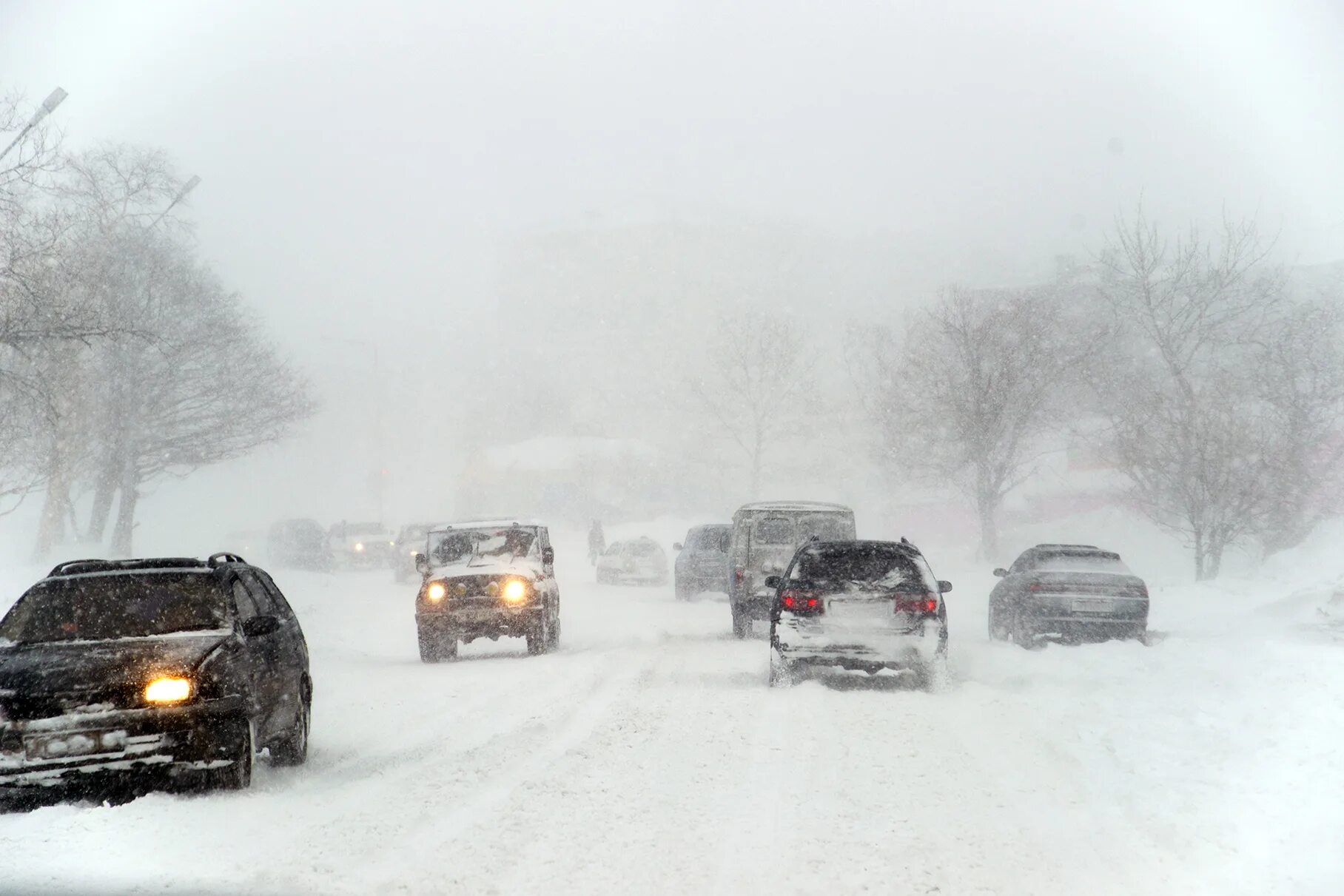 Метель мокрый снег. Снежная буря фото. Метель в самаре. Сильный мороз. Тобольск снежная буря.