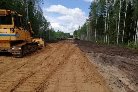 Строительство дорог отзывы