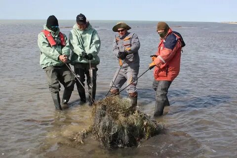Погода остров искусственный рп5