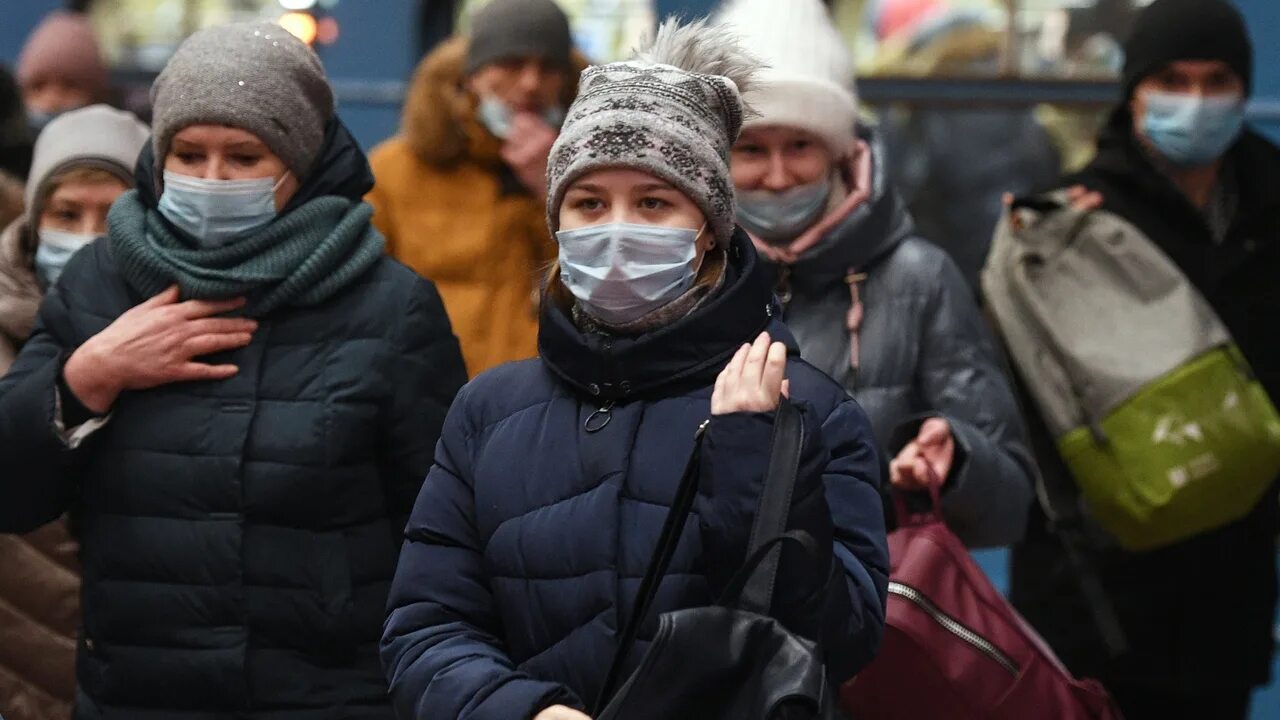 Последние новости о гриппе. Свиной грипп. Последние Известия в России. Свиной грипп пути заражения.