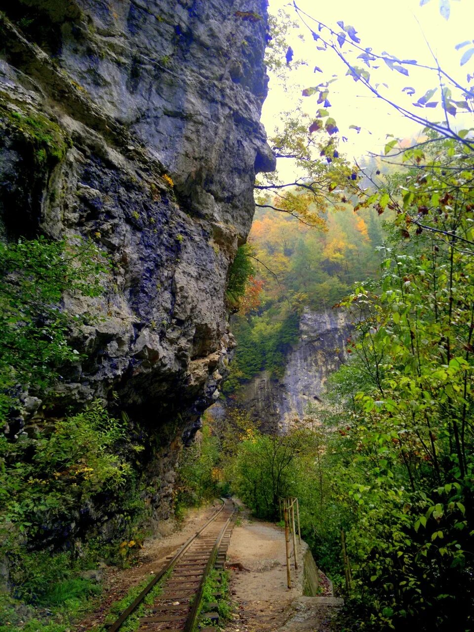Конные прогулки гуамка