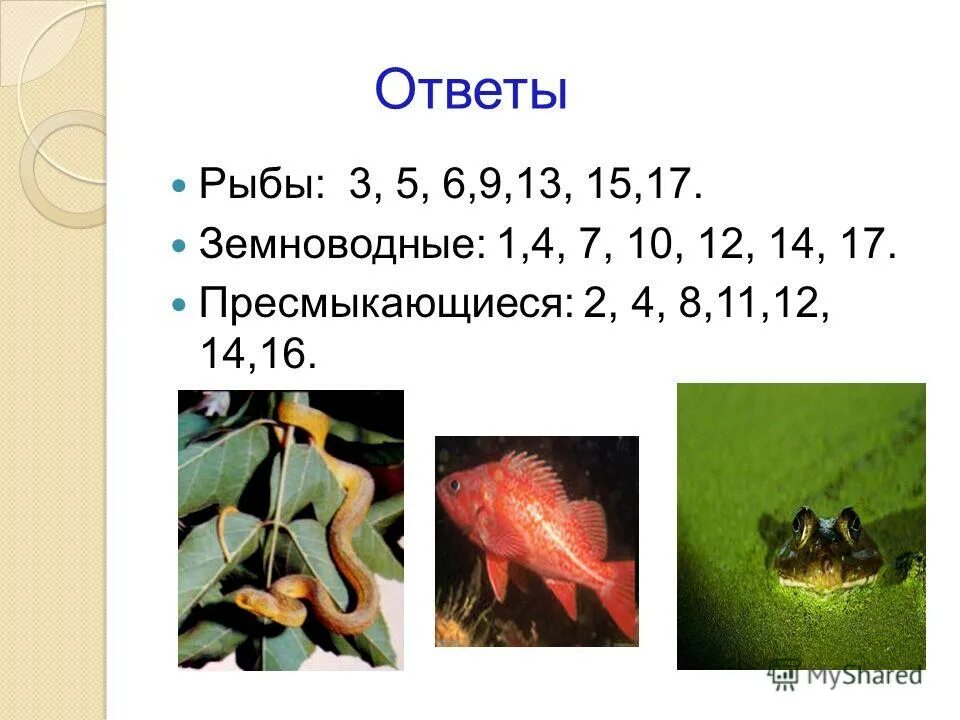 Контрольная по земноводных 8. Класс рыбы класс земноводные. Контрольная работа по биологии: рыбы, амфибии, рептилии. Тема рыбы и земноводные. Контрольная по теме рыбы.