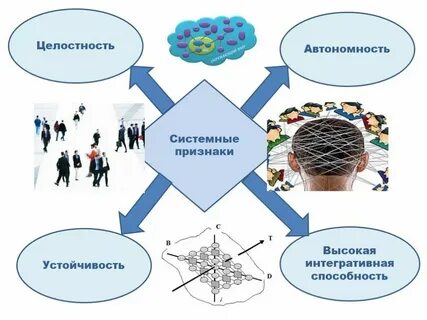 Управление общественных связей новосибирск