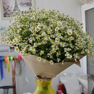 Камила цветочки