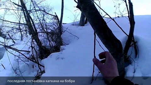 Петля на бобра видео