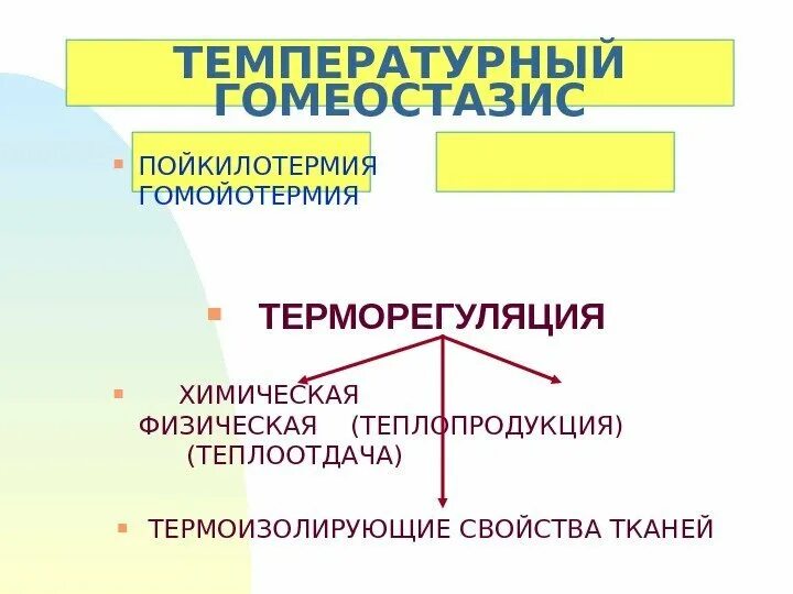 Химическая терморегуляция это физиология. Терморегуляция организма человека осуществляется. Терморегуляция обеспечивается изменением двух составляющих теплообменных процессов. Регуляция изотермии физиология. Химическая и физическая терморегуляция ее механизмы.