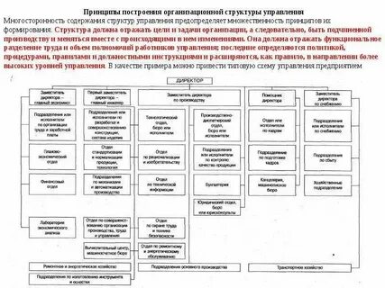 Органами управления фонда являются