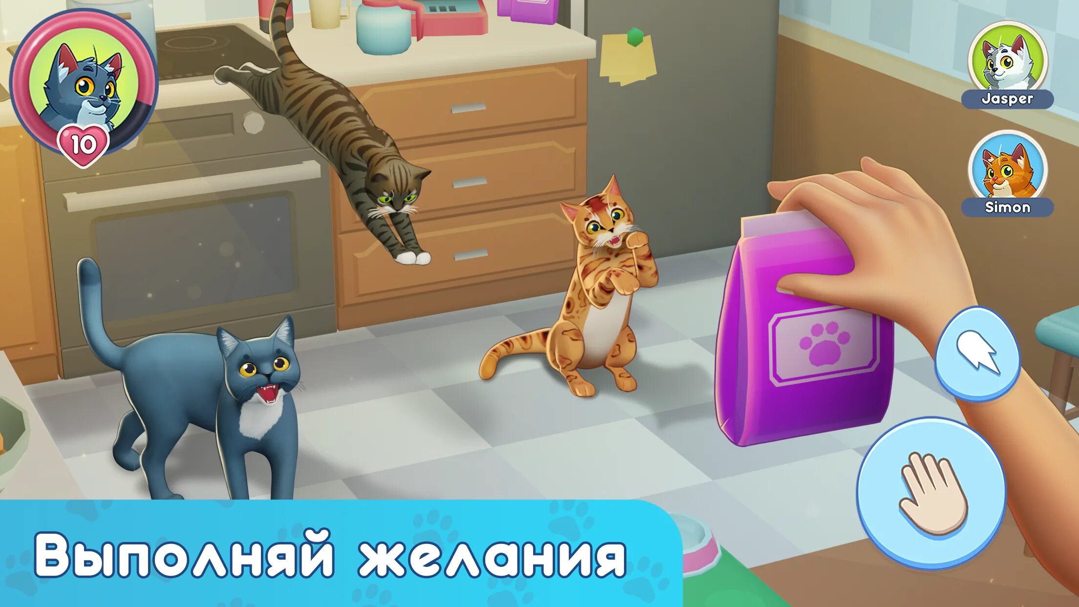 My pets cat как найти ключ
