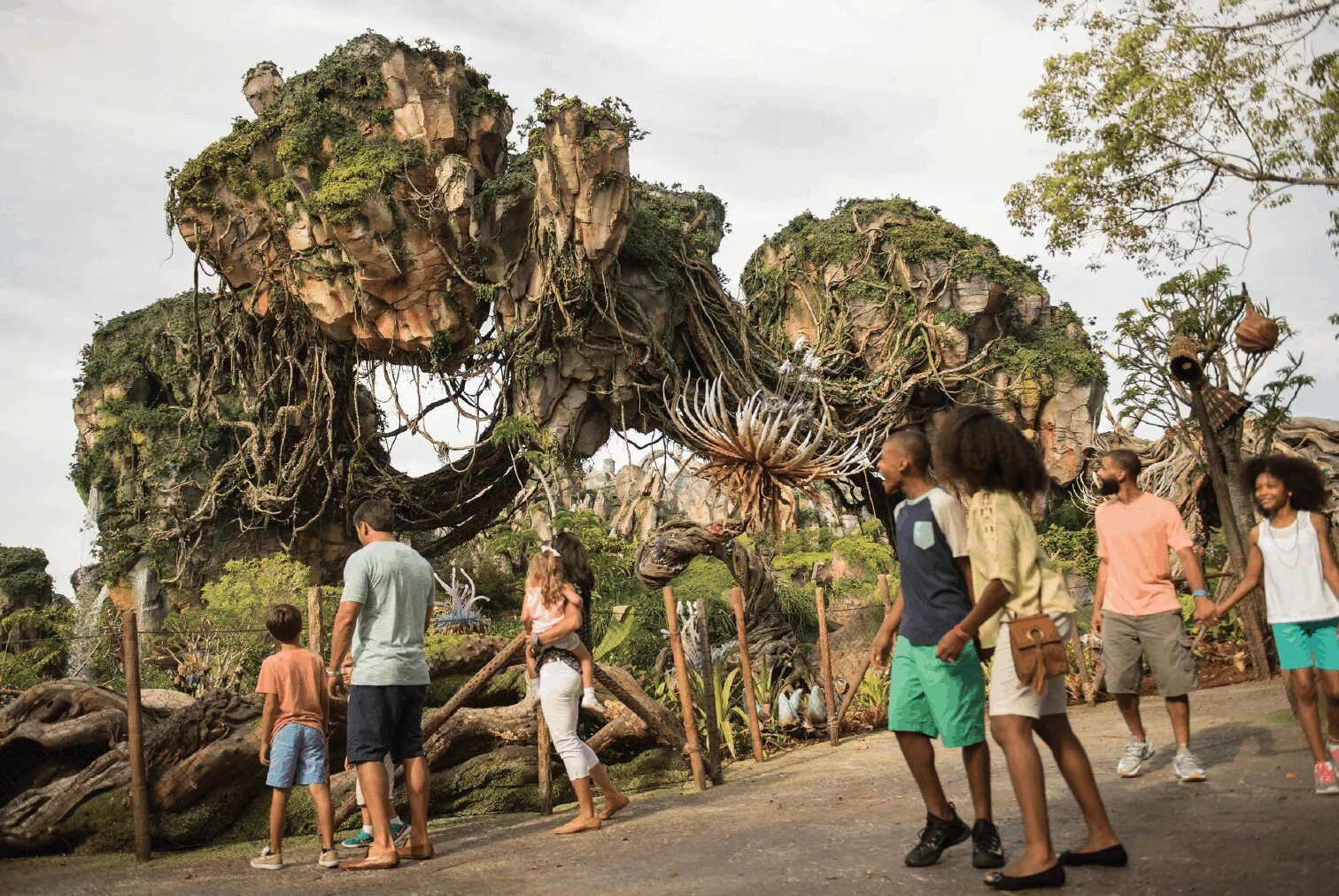 Pandora walk through
