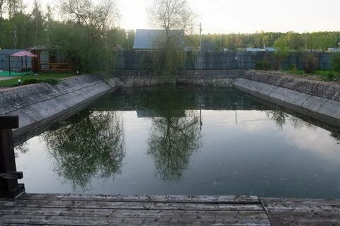 Пруд 10 на 10