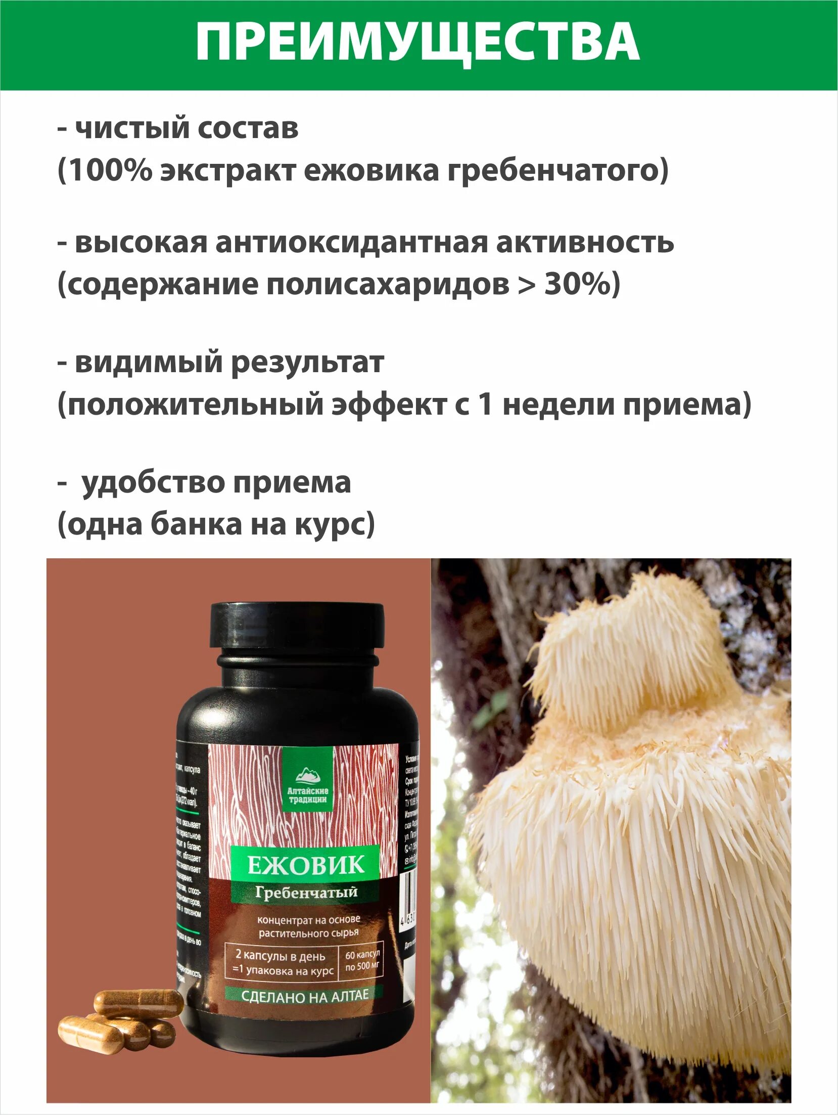 Ежовик гребенчатый 60 капсул. Ежовик гребенчатый концентрат 55. Ежовик гребенчатый в капсулах. Гриб ежовик гребенчатый. Ежовик гребенчатый капсулы отзывы