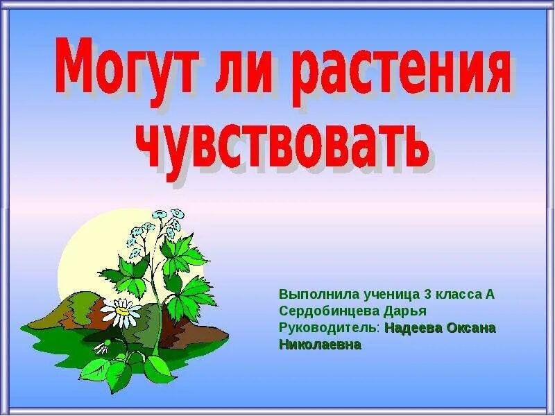 Проект могут ли иссякнуть мелодии. Могут ли растения видеть. Чувствуют ли растения любовь. Проект "могут ли растения быть полезными в походе?" 8 Класс. Могут ли растения не только передавать но и воспринимать информацию.