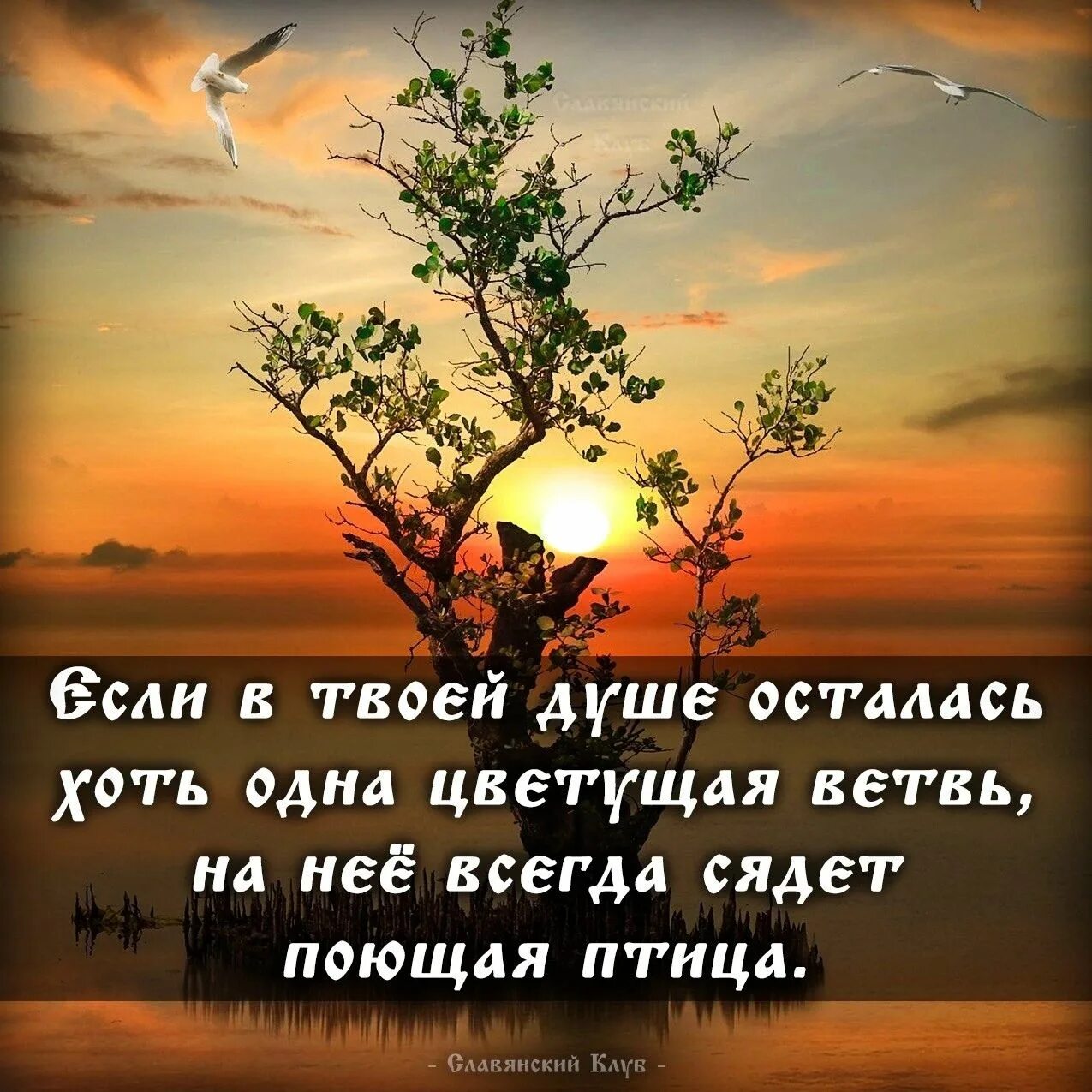 Память остается в деревьях. Стихи про смерть. Если в твоей душе осталась хоть. Дерево экология. Таблички для высадки деревьев.