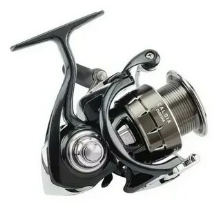 Daiwa caldia