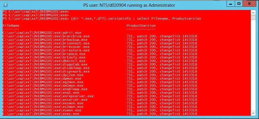 Backup exe. Backup exe