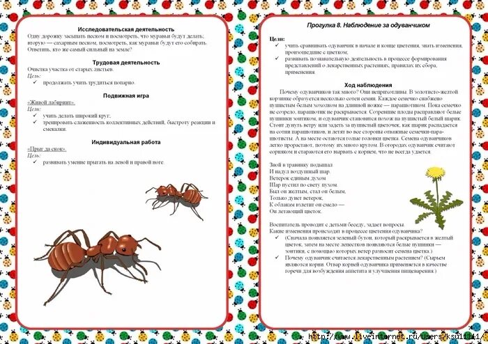 Конспект насекомые старшая группа. Мир насекомых для детей средней группы. Насекомые подготовительная группа. Насекомые детям средней группы. Познакомить детей с насекомыми.